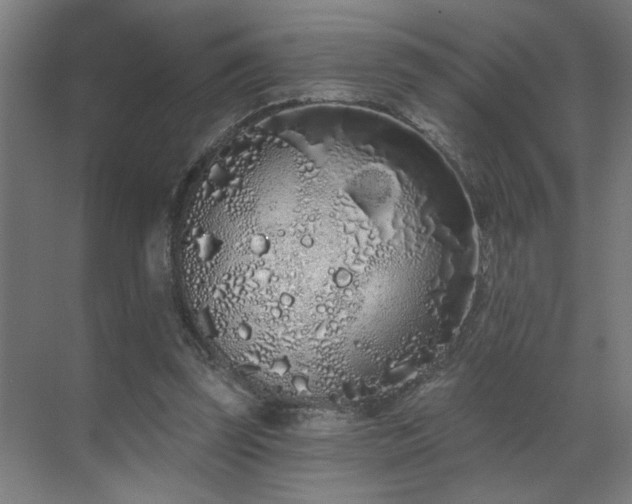 X0000069790347200605261702