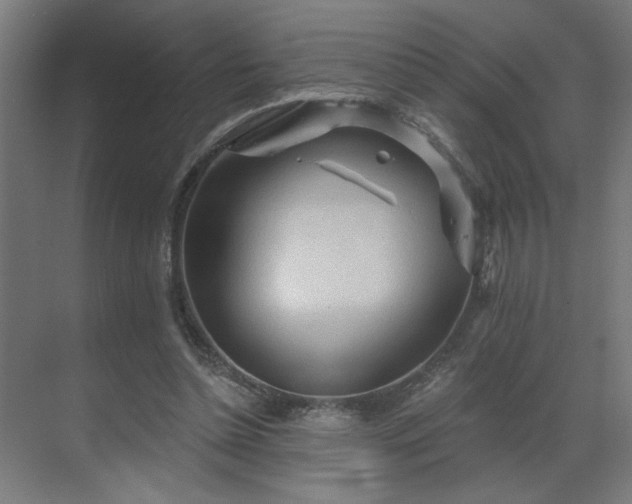 X0000069790348200605261702