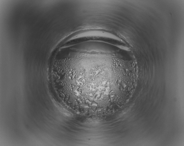 X0000069790351200605261702