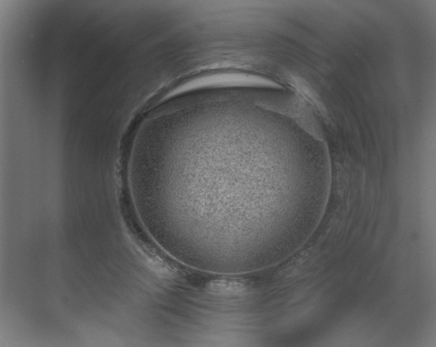 X0000069790354200605261702