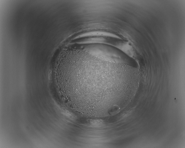 X0000069790355200605261702