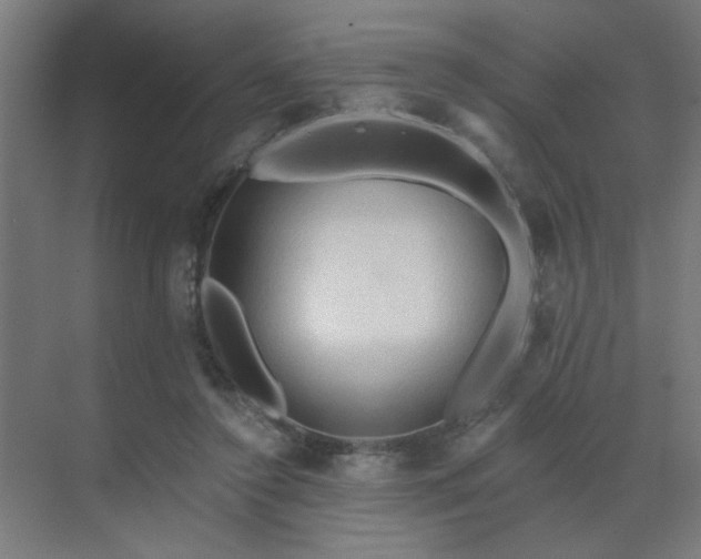 X0000069790356200605261702