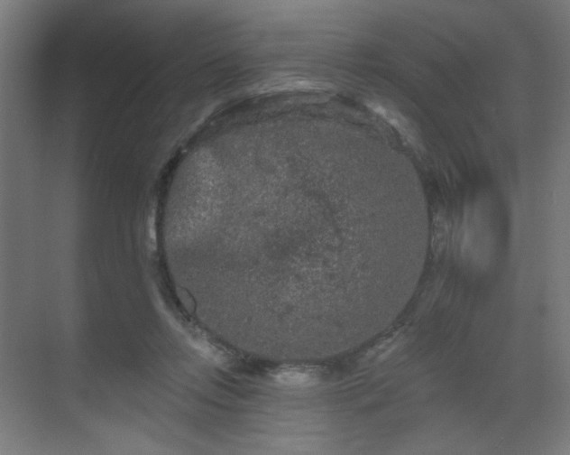 X0000069790358200605261703