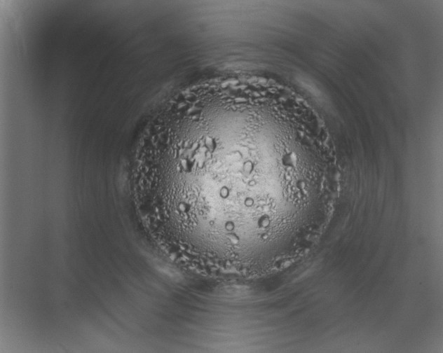 X0000069790361200605261703