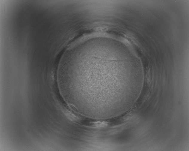 X0000069790363200605261703