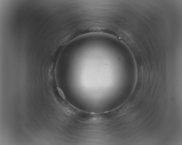 X0000069790364200605261703