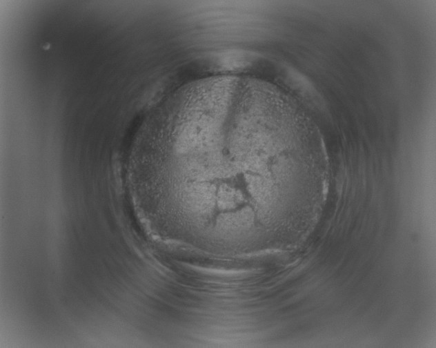 X0000069790366200605261703