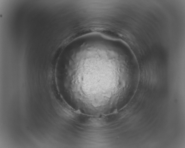 X0000069790367200605261703