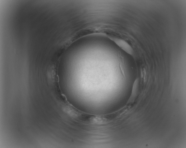 X0000069790372200605261703