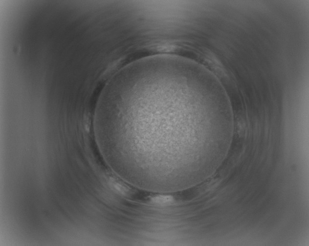 X0000069790374200605261703