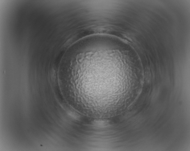 X0000069790375200605261703