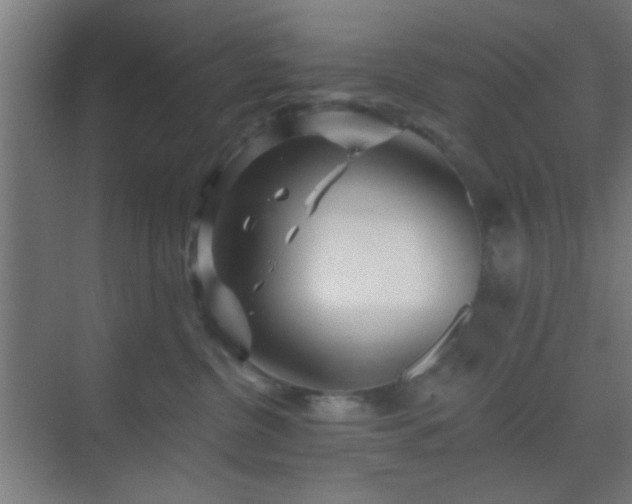 X0000069790380200605261703