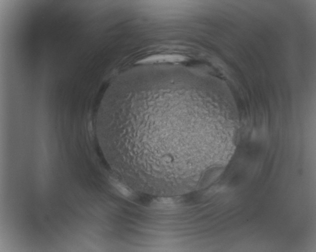 X0000069790381200605261703