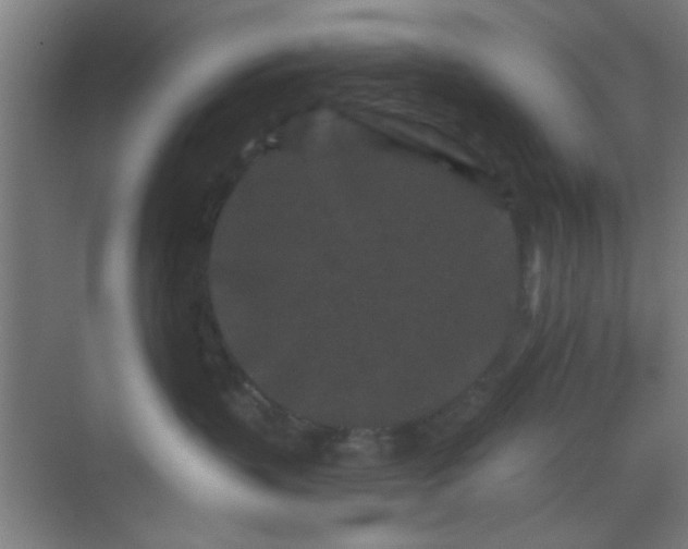 X0000069790383200605261703