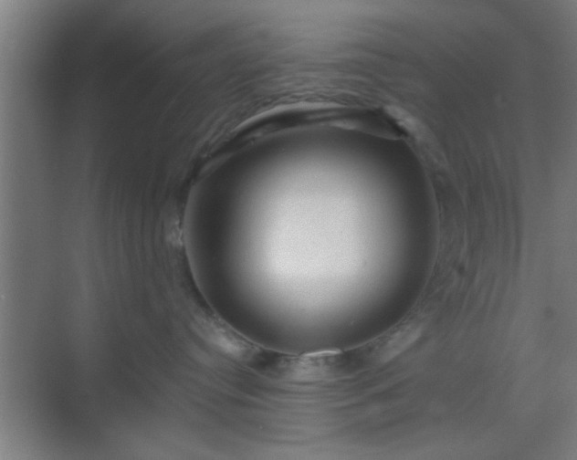 X0000069790384200605261703