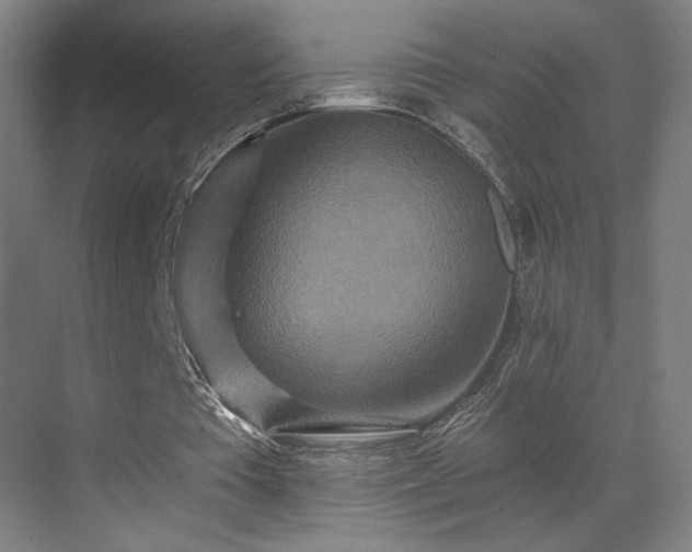 X0000069790385200605261702