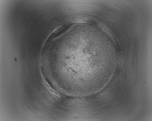 X0000069790386200605261702