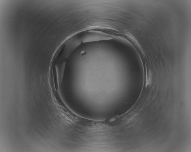 X0000069790387200605261702