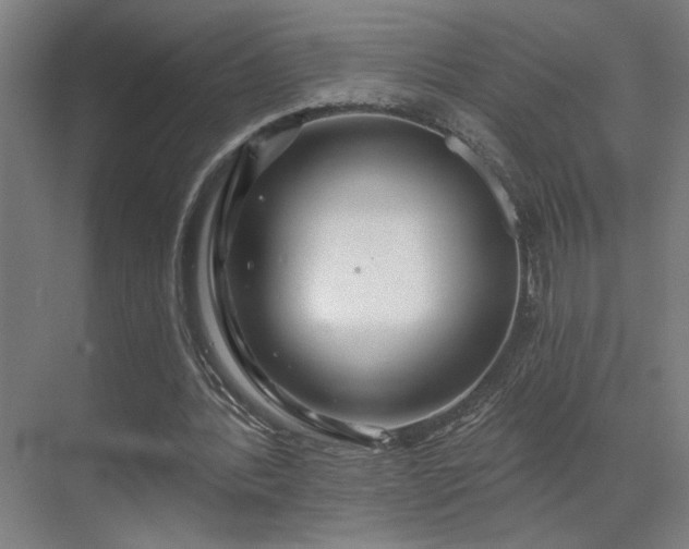 X0000069790388200605261702