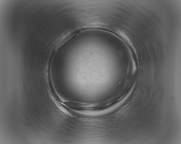 X0000069790389200605261702