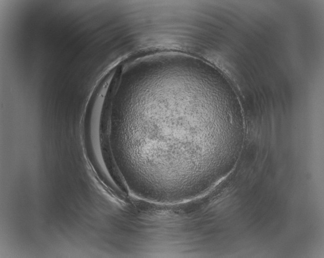 X0000069790390200605261702