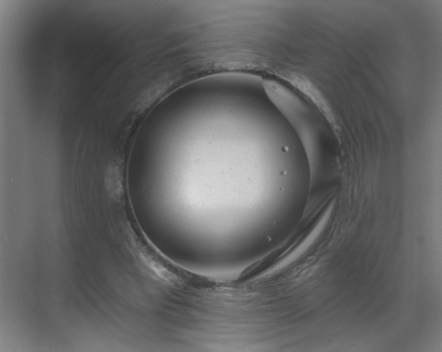 X0000069790393200605261702