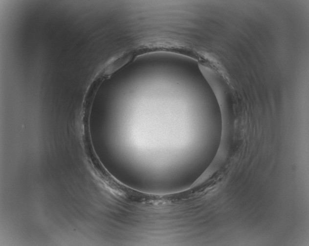 X0000069790395200605261702