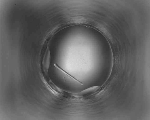 X0000069790397200605261702