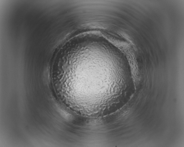 X0000069790398200605261702