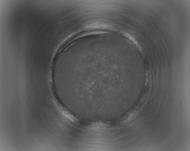 X0000069790399200605261702