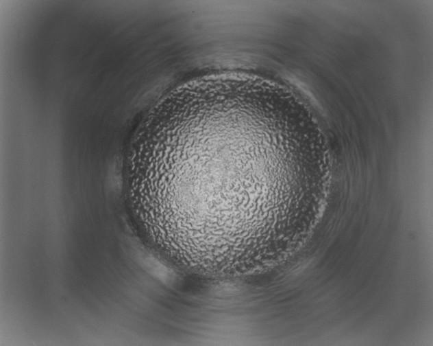 X0000069790402200605261702