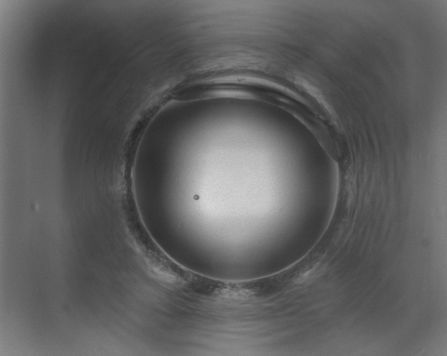 X0000069790403200605261702