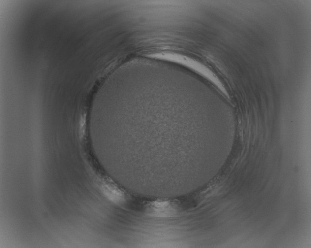 X0000069790406200605261702