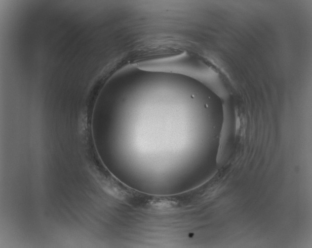 X0000069790407200605261702