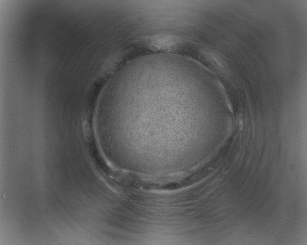 X0000069790408200605261702