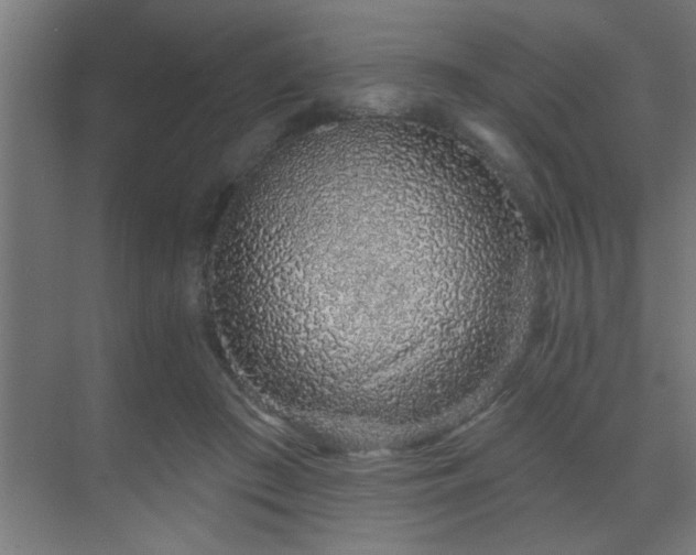 X0000069790409200605261702