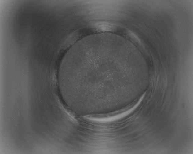 X0000069790410200605261702