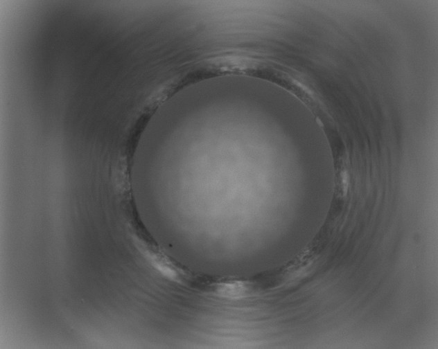 X0000069790411200605261702