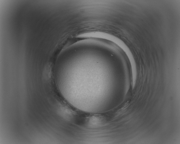 X0000069790412200605261702