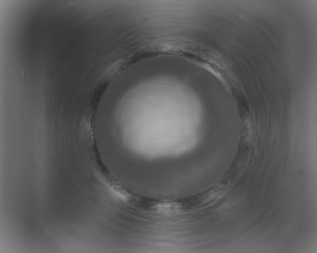 X0000069790415200605261702