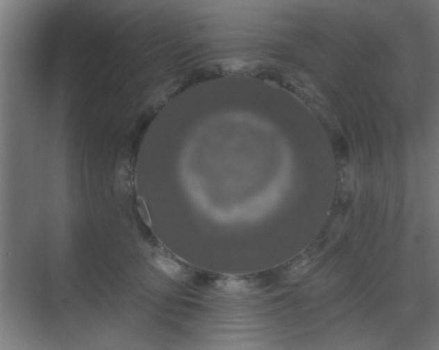 X0000069790419200605261702