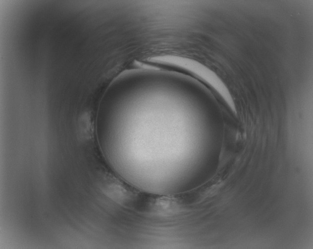 X0000069790420200605261702