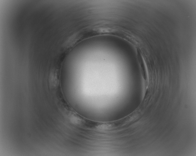 X0000069790422200605261702