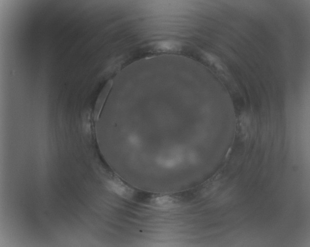 X0000069790423200605261702