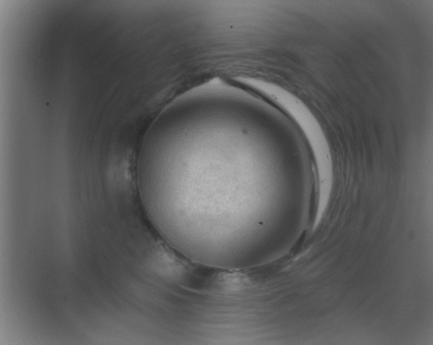 X0000069790424200605261702