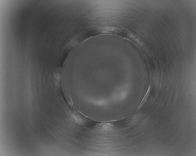 X0000069790427200605261701