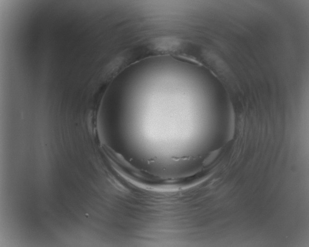 X0000069790428200605261701