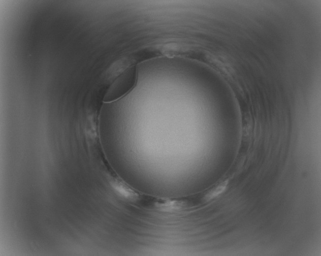 X0000069790430200605261701