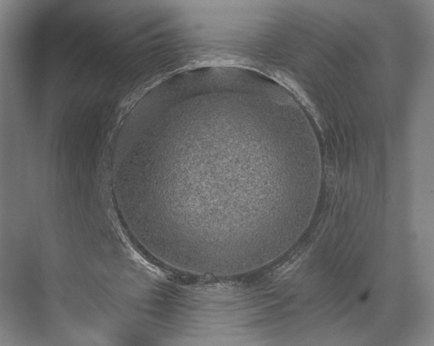 X0000069790433200605261701