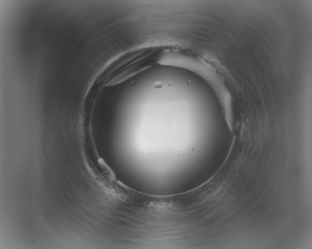 X0000069790440200605261701